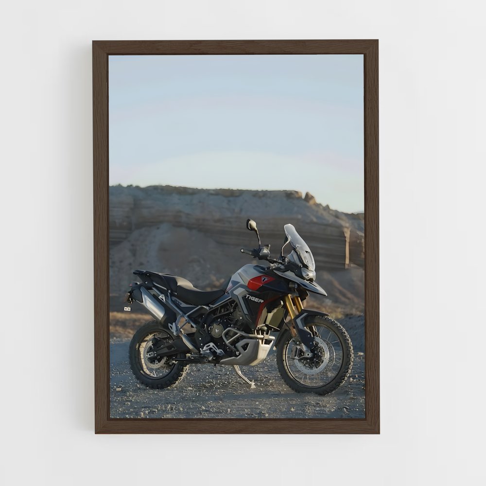 Poster Tigre Majestueux 900 – affiche Triumph (vue 5)